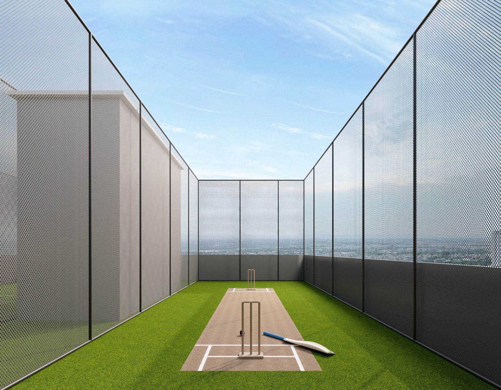 Cricket Turf